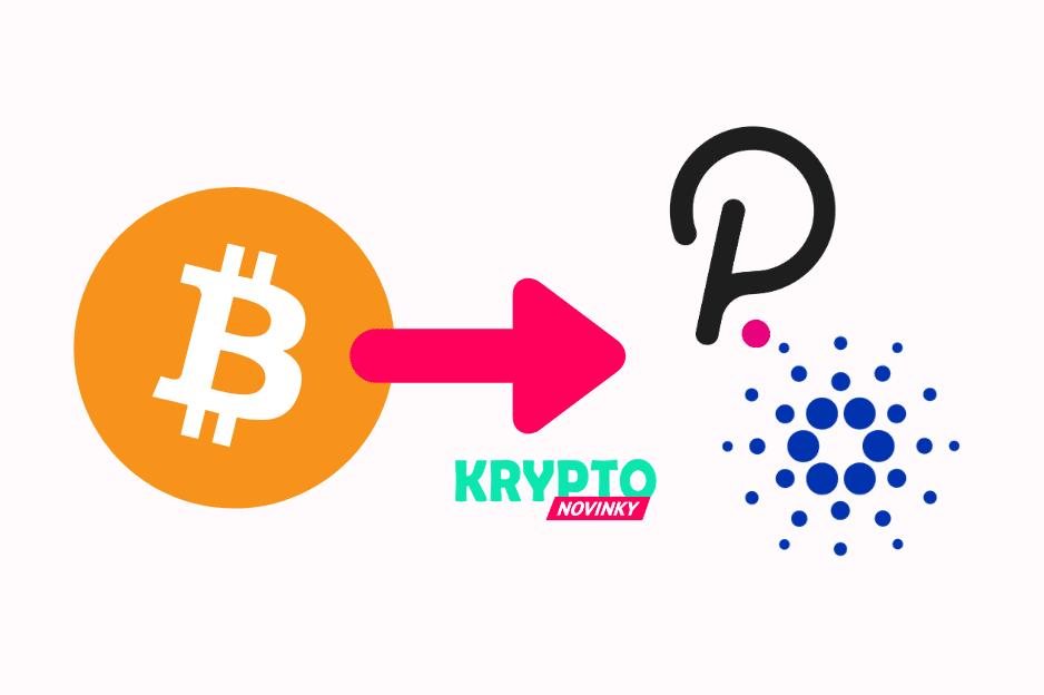 Bitcoin Cardano Polkadot