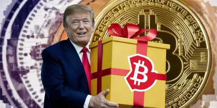 Bitcoin Donald Trump