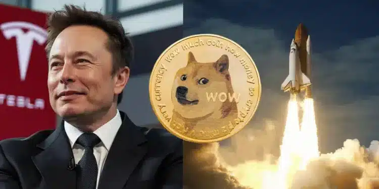 Elon Musk a Dogecoin