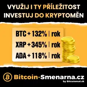 bitcoin smernarna