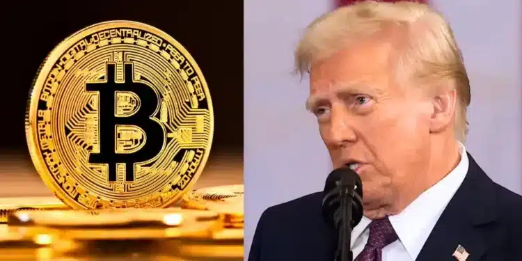 Donald Trump a Bitcoin