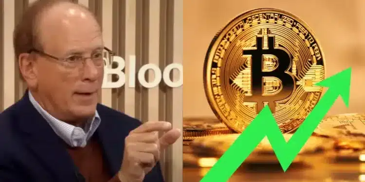 Larry Fink a Bitcoin