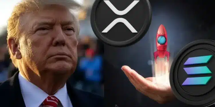 Donald Trump a kryptomeny Solana a XRP