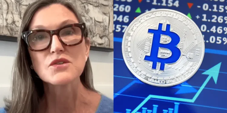 Cathie Wood a Bitcoin