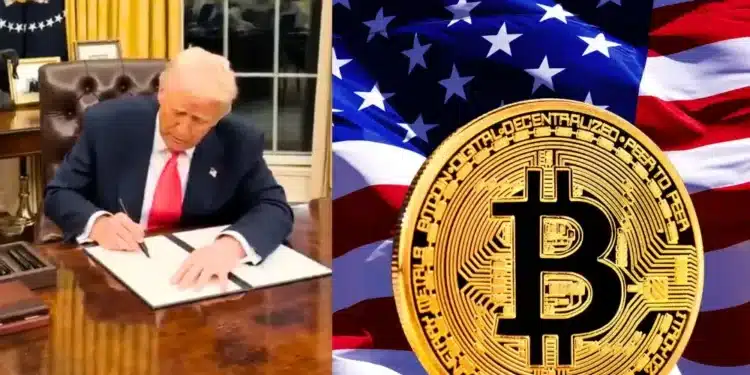 Trump Bitcoin